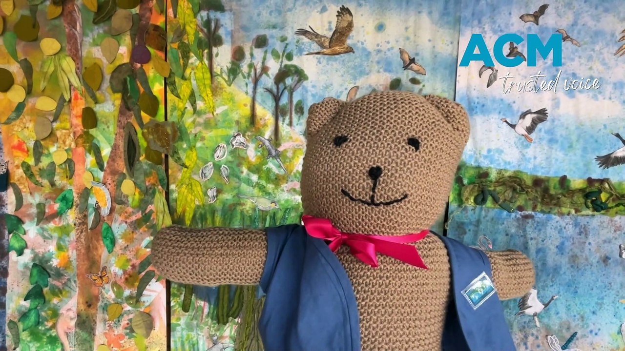 WATCH: The Great Bear Hunt, Hunter Wetlands Centre, 7th September 2023 | Newcastle Herald