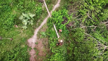 100 Days Building A Modern Underground Hut With A Grass Roof And A Swimming Pool