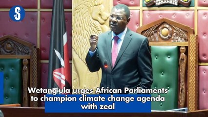 Wetang'ula urges African Parliaments to champion climate change agenda with zeal