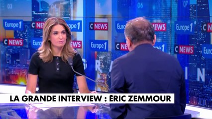 Éric Zemmour : «Je n'ai pas vocation à aller à toutes les élections»