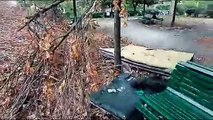 Milano, giardini di via Tortona dimenticati dal Comune