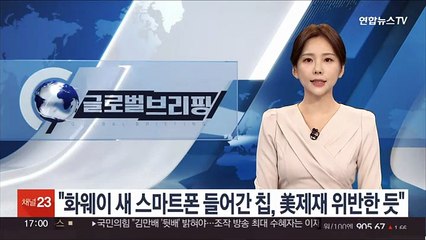미국 하원 외교위원장 "화웨이 새 스마트폰에 들어간 칩, 美 제재 위반한 듯"