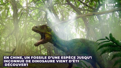 Découverte d’un nouveau dinosaure “étrange” ressemblant à un oiseau