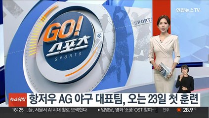 항저우 AG 야구대표팀, 오는 23일 첫 훈련