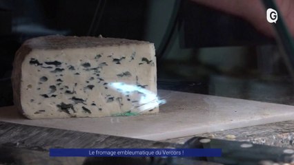 Reportage - Le fromage 