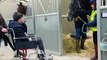 Rob Burrow charity racehorse retrained as therapy animal (Video: SWNS)