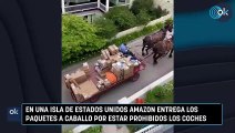 En una isla de Estados Unidos Amazon entrega los paquetes a caballo por estar prohibidos los coches