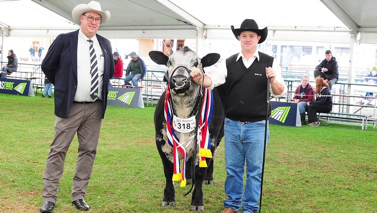 Royal Round-up Day 6
