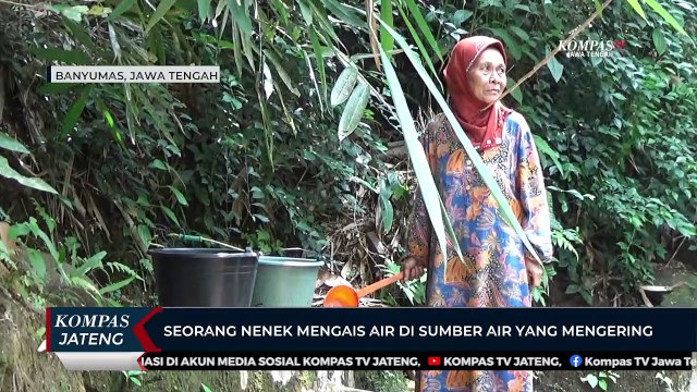 Seorang Nenek Mengais Air Di Sumber Air Yang Mengering