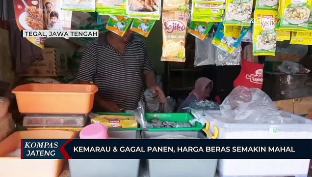 Kemarau & Gagal Panen, Harga Beras Semakin Mahal