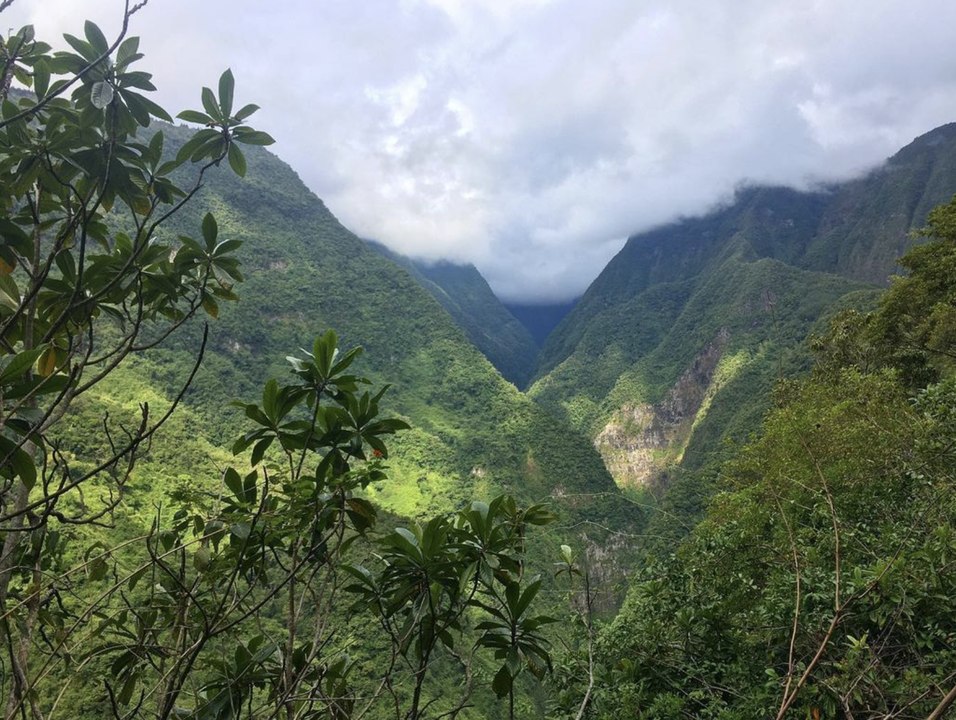 Quel est le département d’Outre-Mer qui compte le plus de monuments historiques ?