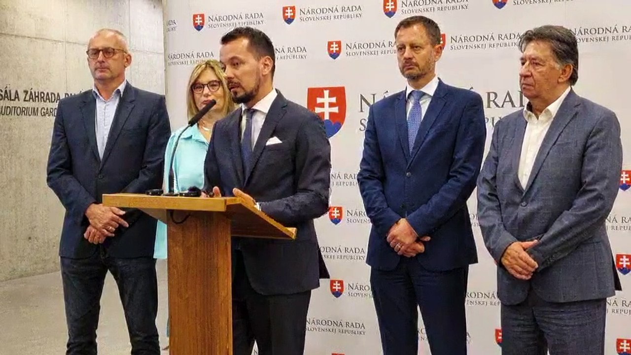 ZÁZNAM: Brífing strany Demokrati