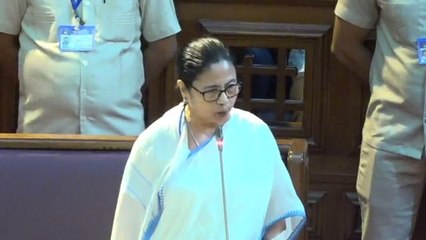 রাজ্যপাল না  জনগণের নির্বাচিত প্রতিনিধি,  কার শক্তি  বেশি দেখতে চাই: মমতা  | Oneindia Bengali