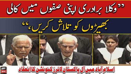 "Lawyers fraternity should look for black sheep amongst them," Advocate Rabbiya Bajwa