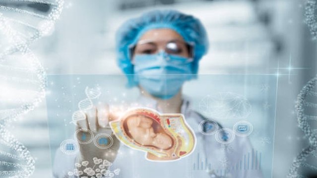 Científicos Crean Un Modelo De Embrión Sin Espermatozoides Ni Óvulos