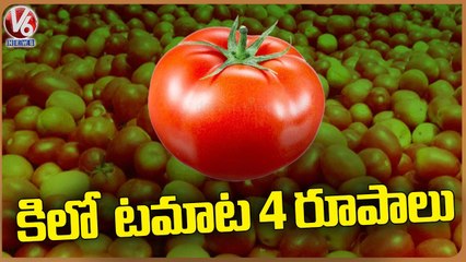 Tomato Prices Drastically Decreased In Market | V6 News