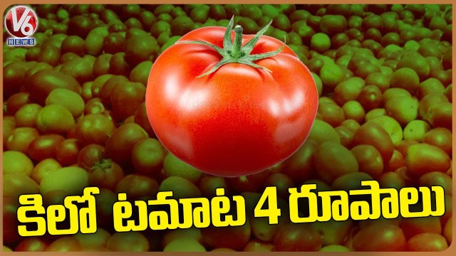 Tomato Prices Drastically Decreased In Market | V6 News