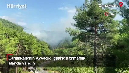Çanakkale’nin Ayvacık ilçesinde ormanlık alanda yangın