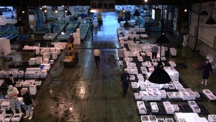 Japan tests Fukushima fish daily to quell concerns