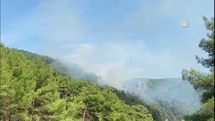 Kazdağları'nda orman yangını