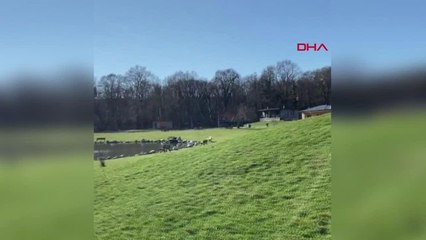 Kırklareli'de 5 kişinin öldüğü selde, kayıp 1 kişi aranıyor