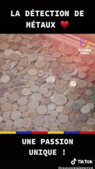 La détection de métaux, un loisir unique !