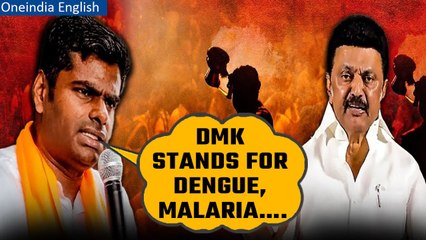 Sanatan Dharma Row: Annamalai launches fresh attack on CM Stalin | Watch | Oneindia News