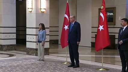 Cumhurbaşkanı Erdoğan, Estonya Büyükelçisi Reinart'ı kabul etti