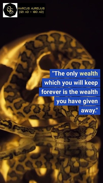 Marcus Aurelius Quotes: Wisdom of a Stoic Emperor | The Quoted Soul #quotes #viral #shorts #quote
