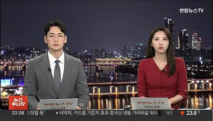 정부, 러시아 동방경제포럼에 현지공관 관계자 보낼 듯
