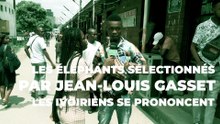 Les éléphants sélectionnés par Jean-Louis Gasset, les ivoiriens se prononcent