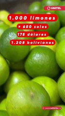 ¡Increíble! Comprar limón se ha convertido en un lujo en Perú, el saco se vende en $us 175