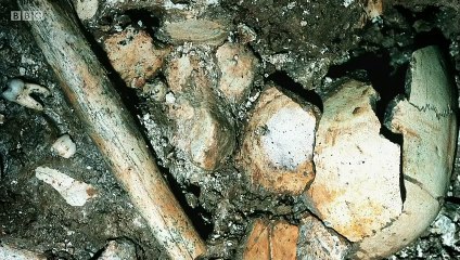 The Violence Paradox Episode 1