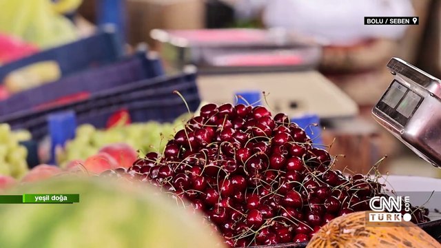 Bolu Seben'in eşsiz doğa güzellikleri ve yöre halkının hikayeleri Yeşil Doğa'da ekrana geldi