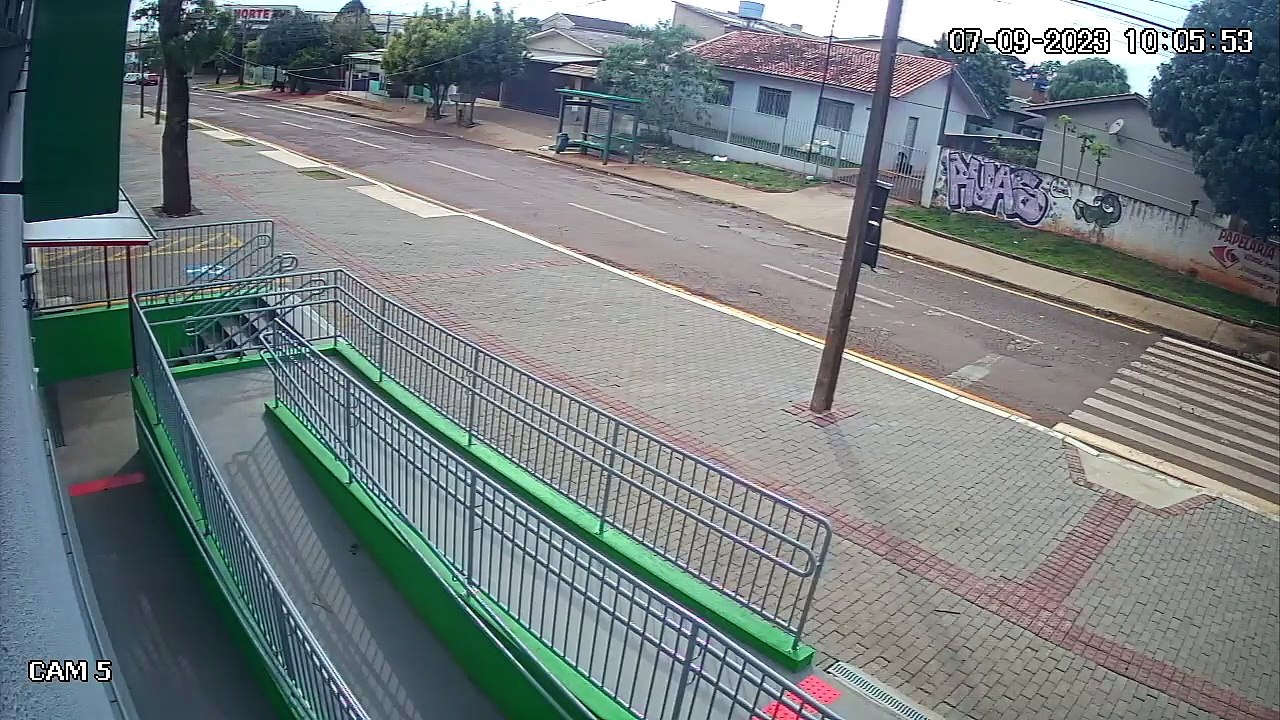 Câmera flagra grande árvore caindo sobre Escola...