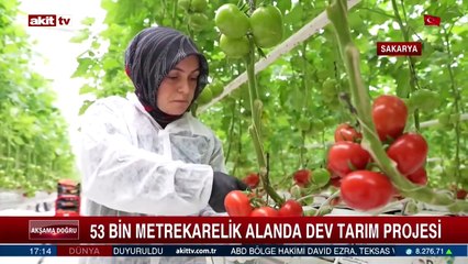 Türkiye'ye örnek: Seracılık mükemmeliyet Merkezi