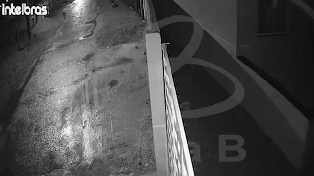 Câmera flagra movimentação de suspeitos de matarem homem em São José dos Pinhais