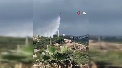 Samandağ'da çıkan orman yangını söndürüldü