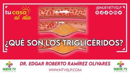 ¿Qué son los triglicéridos?