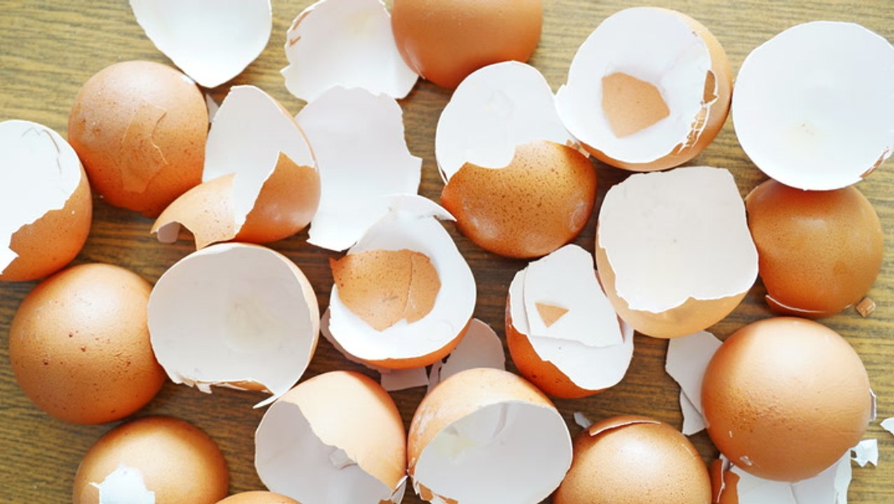 Can You Eat Egg Shells? The Answer Is Surprising video