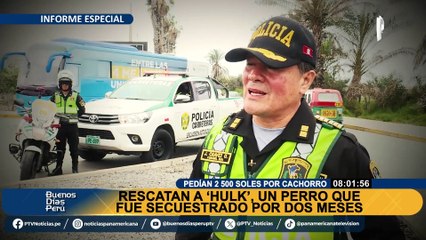 Pedían S/2500 para devolver a perrito: rescatan a 'Hulk', can que fue secuestrado hace 2 meses