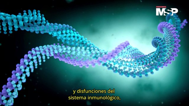 ¿Cómo se relaciona la dermatitis atópica con el estrés?