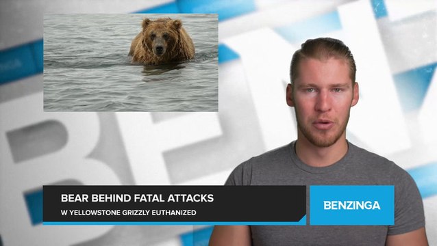 Grizzly Bear Responsible for Fatal Attack. Euthanized After Breaking into Montana Home
