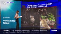 À LA UNE DEMAIN - Canicule, présence du loup en France et procès de neufs militants de Sainte-Soline