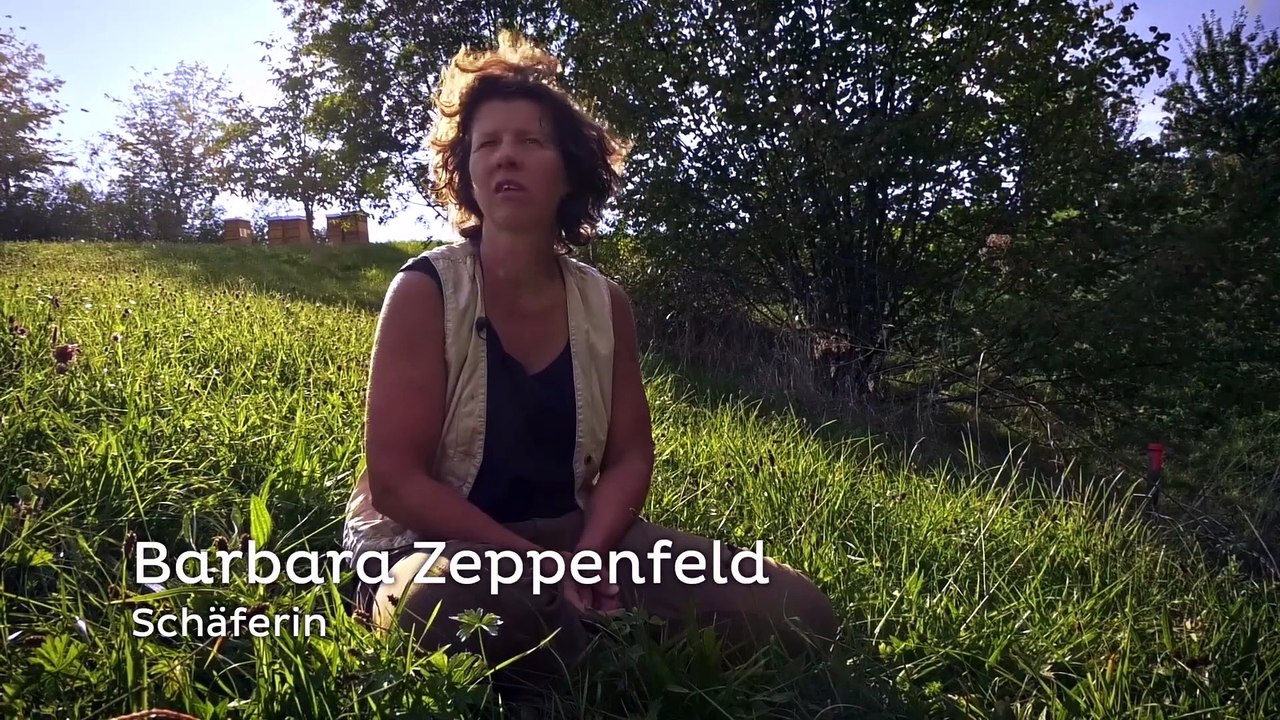 MENSCHEN & TIERE Film