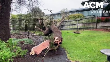 Damage after 106kmh winds in Warrnambool - The Standard - September 8, 2023
