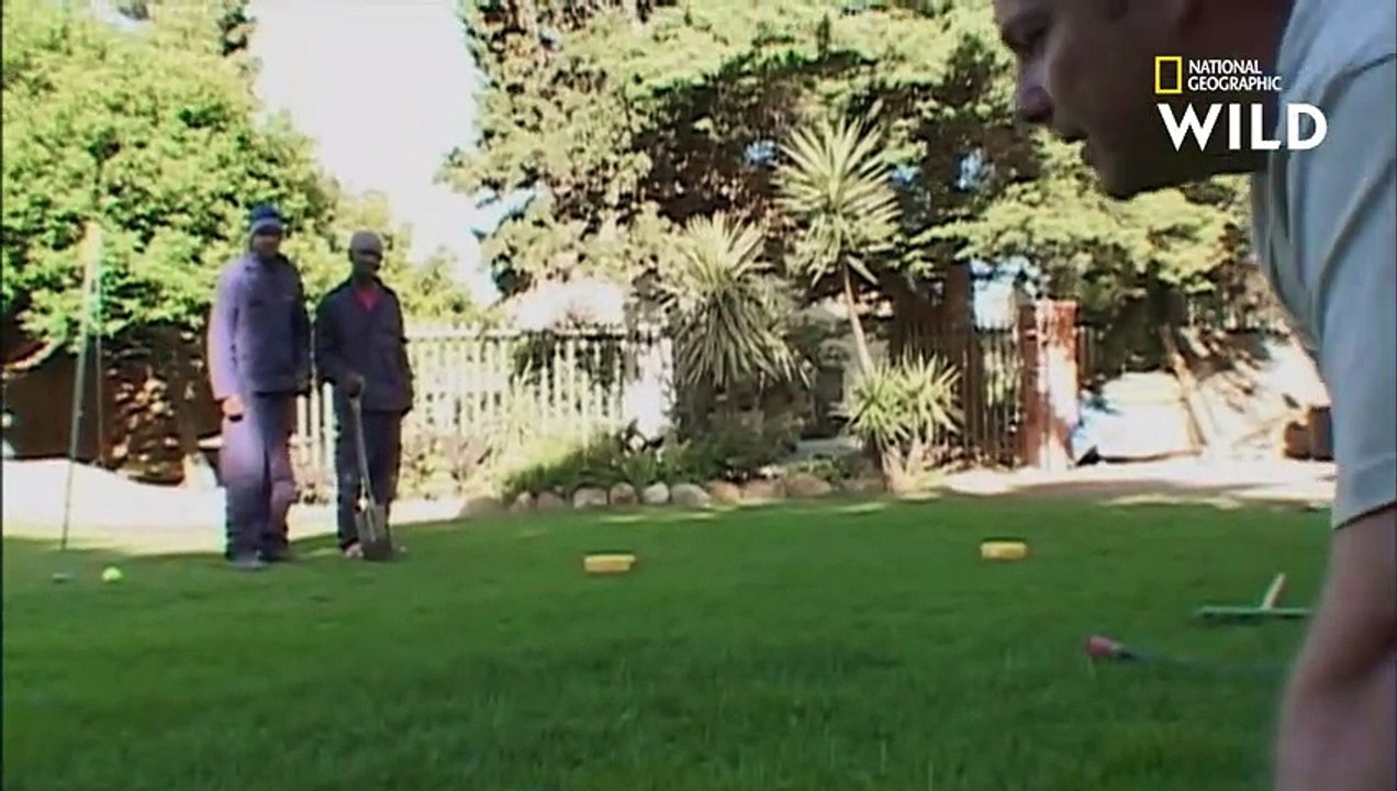 La technique infaillible de ce chasseur de serpent pour débusquer un dangereux cobra