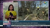 Ecuador: Continúan incendios forestales en Quito