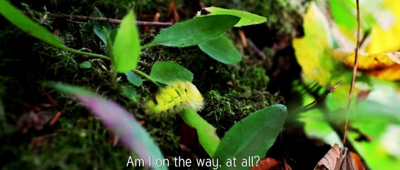 80000 Thoughts | movie | 2014 | Official Clip