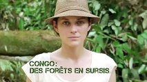 Congo: Des forêts en sursis | movie | 2010 | Official Trailer